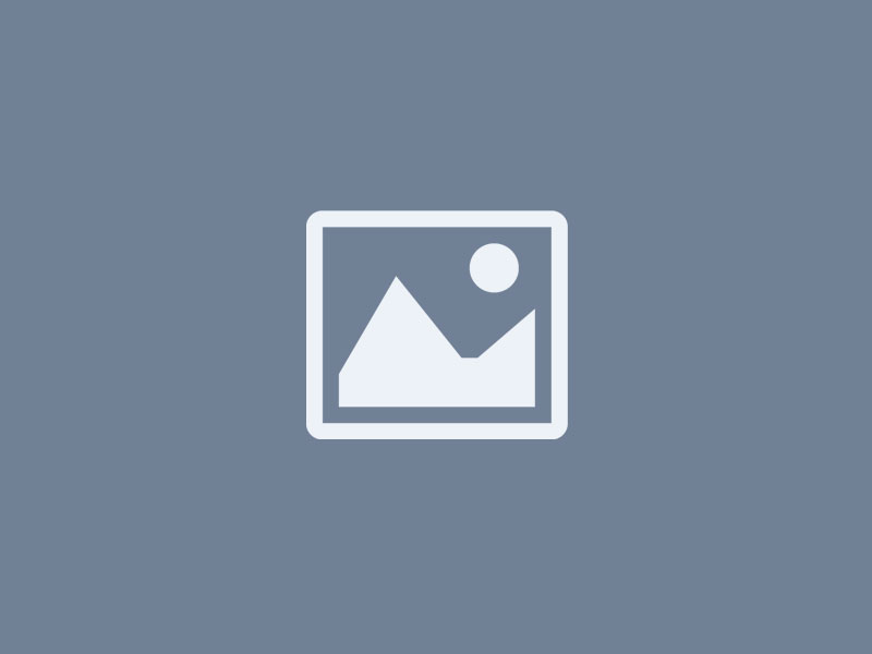 placeholder wire image dark