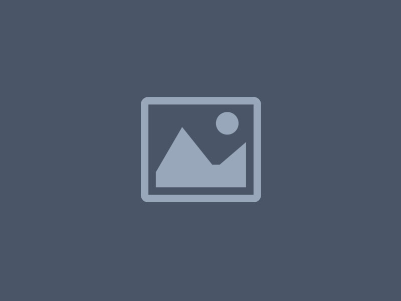 placeholder wire image darker